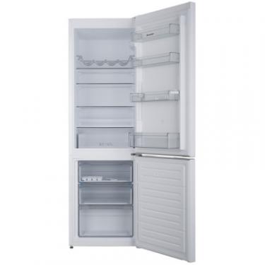 Холодильник Sharp SJ-BB04DTXW1-UA Фото 4