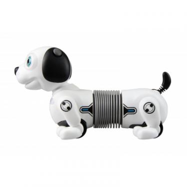 Интерактивная игрушка Silverlit робот-собака DACKEL JUNIOR Фото 1