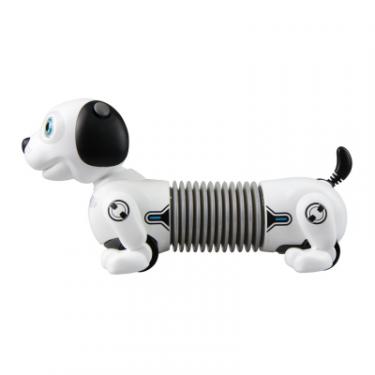 Интерактивная игрушка Silverlit робот-собака DACKEL JUNIOR Фото 2