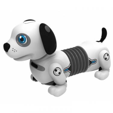 Интерактивная игрушка Silverlit робот-собака DACKEL JUNIOR Фото 3