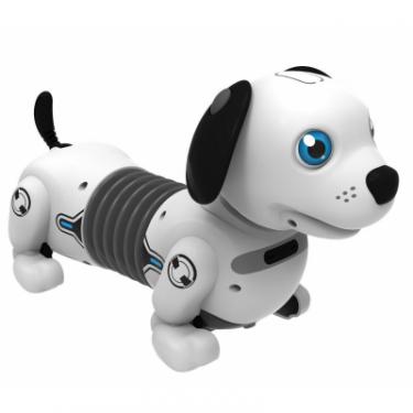 Интерактивная игрушка Silverlit робот-собака DACKEL JUNIOR Фото 4