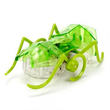 Интерактивная игрушка Hexbug Нано-робот Micro Ant, зеленый Фото