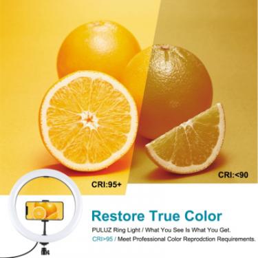 Набор блогера Puluz Ring USB LED lamp PKT3061B 11.8" + tripod 1.65 м Фото 4