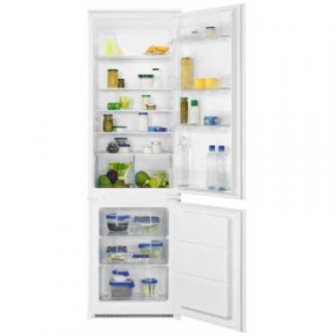 Холодильник Zanussi ZNLR18FT1 Фото
