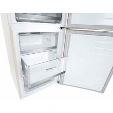 Холодильник LG GW-B509SEUM Фото 11
