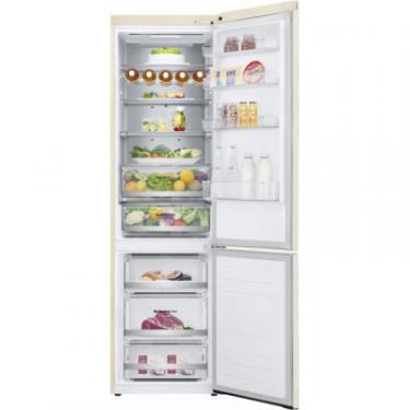 Холодильник LG GW-B509SEUM Фото 6