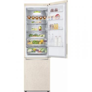 Холодильник LG GW-B509SEUM Фото 7