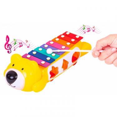 Развивающая игрушка BeBeLino Ксилофон-сортер на колесах, желтый Фото 4