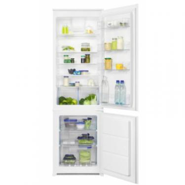 Холодильник Zanussi ZNHR18FS1 Фото