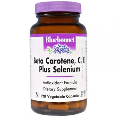 Витаминно-минеральный комплекс Bluebonnet Nutrition Бета-Каротин, C, Е+Селен, Beta Carotene, C, E Plus Фото