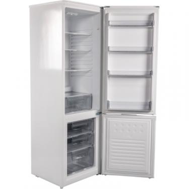 Холодильник Grunhelm BRH-S176M55-W Фото 2