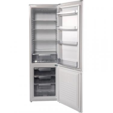 Холодильник Grunhelm BRH-S176M55-W Фото 4
