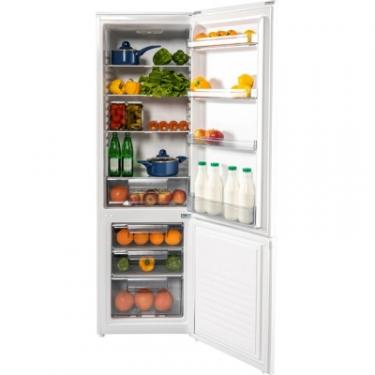 Холодильник Grunhelm BRH-S176M55-W Фото 6