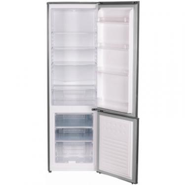 Холодильник Delfa BFH-180S Фото 2