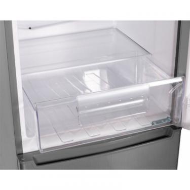 Холодильник Delfa BFH-180S Фото 5