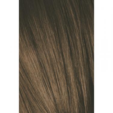 Краска для волос Schwarzkopf Professional Igora Royal 6-00 60 мл Фото 1