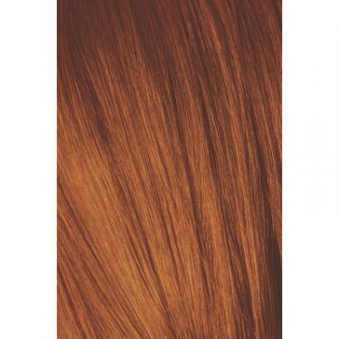 Краска для волос Schwarzkopf Professional Igora Royal 6-77 60 мл Фото 1