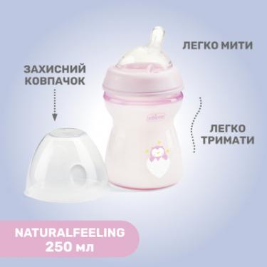 Бутылочка для кормления Chicco Natural Feeling силікон середній потік 250мл рожев Фото 6