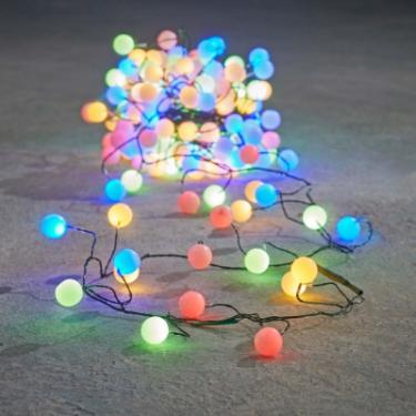 Гирлянда Luca Lighting кластер Кульки зелена струна 6,5 м, RGB Фото