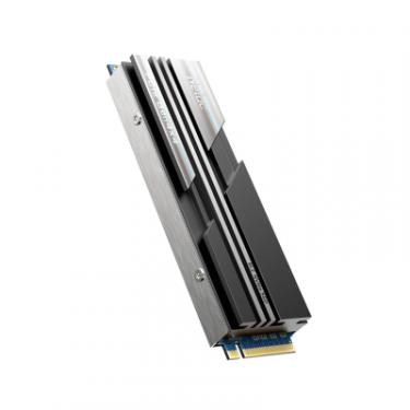 Накопитель SSD Netac M.2 2280 500GB Фото 4