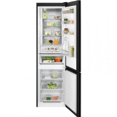 Холодильник Electrolux RNT7ME34K1 Фото 8