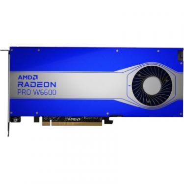 Видеокарта HP Radeon Pro W6600 8GB 4DP Фото