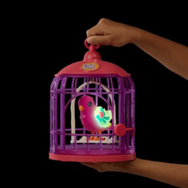 Интерактивная игрушка Moose Говорлива пташка Тіара Твинклз зі світлом у клітці Фото 7