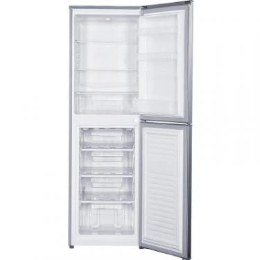 Холодильник Edler ED-274INFD Фото 1