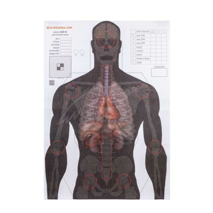Мишень Алебарда "Анатомический силуэт" ALB-50 Фото