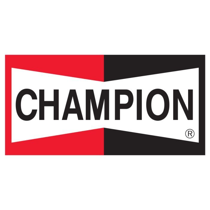 Воздушный фильтр для автомобиля Champion CAF100789P Фото