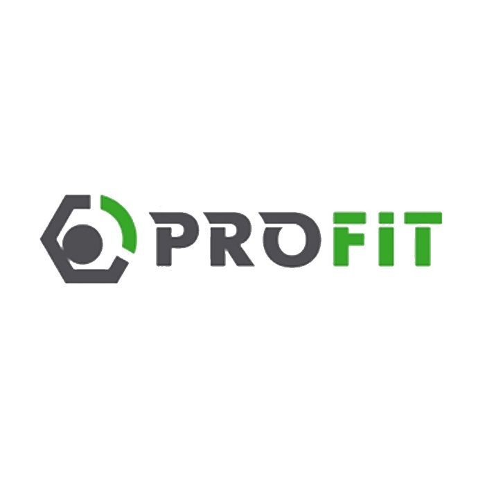 Воздушный фильтр для автомобиля Profit 1512-4087 Фото