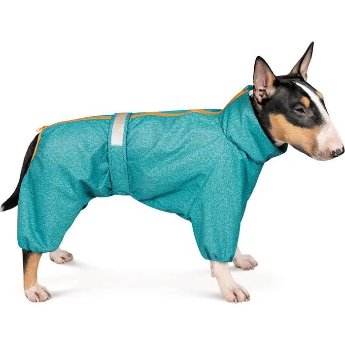 Комбинезон для животных Pet Fashion "RAIN" 4XL (бирюзовый) Фото