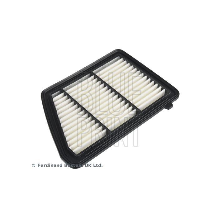 Воздушный фильтр для автомобиля Blue Print ADBP220023 Фото