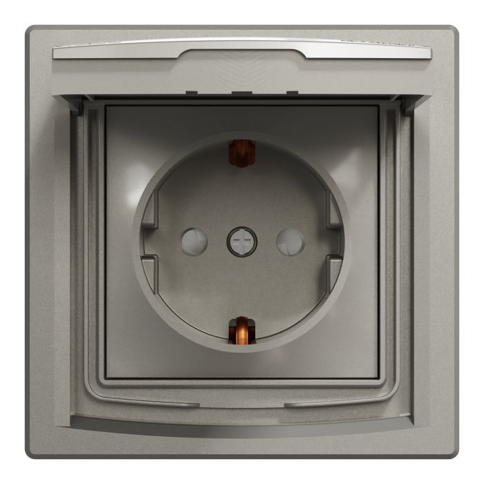 Розетка Schneider Electric ASFORA з кришкою IP44, бронза Фото