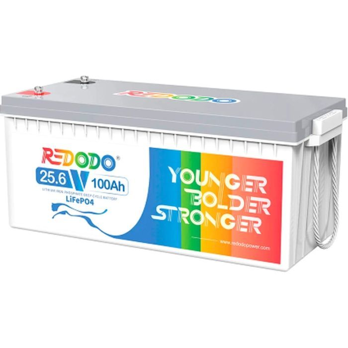 Батарея LiFePo4 Redodo 24V-100Ah Фото