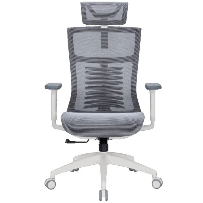 Офисное кресло OfficePro Balance OC620-W-DG-DG Фото